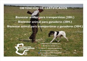 bienestar-animal-copia